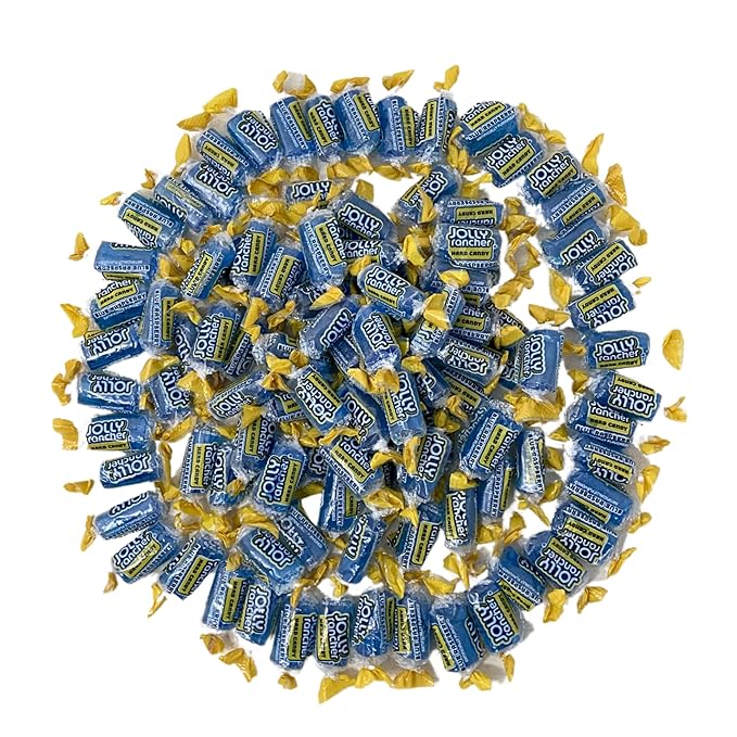 Jolly Ranchers Hard Candy 1.5lbs- All Blue Raspberry Individually Wrapped Delicious Fresh Candy 1.5, 24oz (Packaging Might Vary)