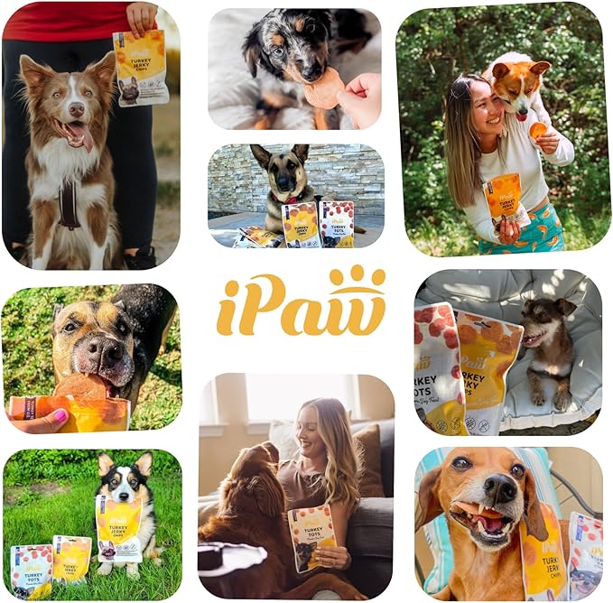 iPaw Chicken Chips Dog Treats for Puppy Training, All Natural Human Grade Dog Treat, Hypoallergenic, Easy to Digest (Chicken Chips), 2 Packs