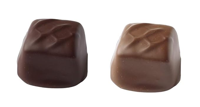 Vermont Nut Free Chocolates Boxed Chocolate Caramels (Milk Chocolate) 12-Piece, Nut-Free, Egg-Free, Kosher