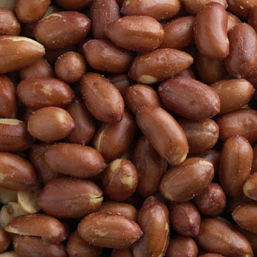 FERIDIES Extra Large Salted Red Skin Peanuts, All Natural, No Preservatives, Kosher 9 Ounce (Pack of 4)