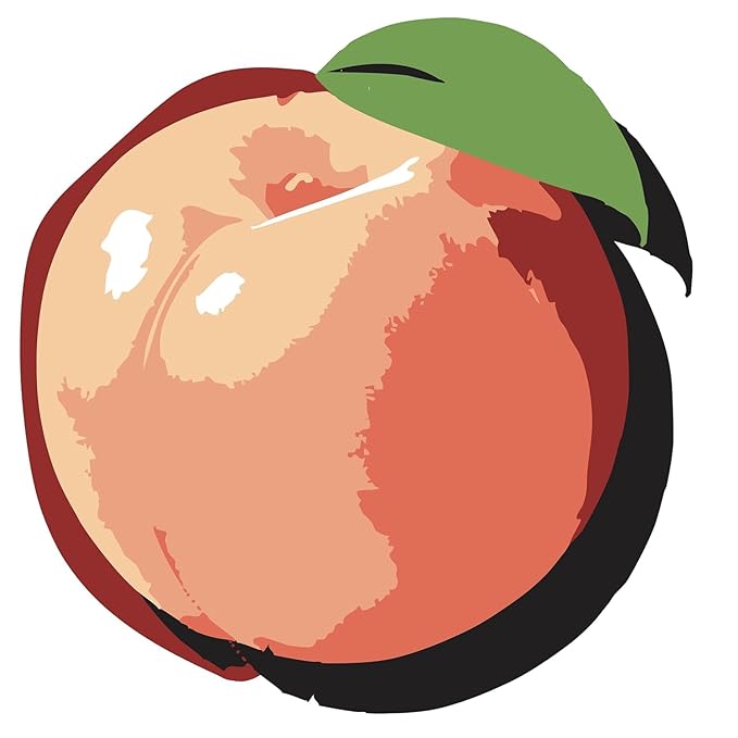 Peach Sparkling Wellness Soda - Naturally sweetened with dates - Crafted with balsamic vinegar - 5 simple ingredients - Low calorie - Antioxidant-rich - No added sugar 12 pack
