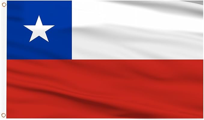 AhfuLife Chile Flag 3x5 Ft, Large Chilean National Flags for Outside - Double Side with Brass Eyelets for Chilean Party Decorations, Soccer Party Bar Garden Decoration Indoor Outdoor