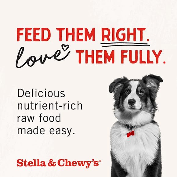 Stella & Chewy's Freeze-Dried Raw Chicken Meal Mixers- Dog Food Topper and Mixer - Made with 95% Cage-Free Chicken, Organs & Bone - Perfect for Picky Eaters - Grain-Free - 1oz (Pack of 2)
