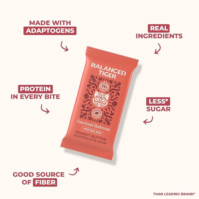 Functional Mushroom Vegan Protein Bars | Made in USA | Full Dose Lions Mane, Shitake, Reishi & Maitake Bars | Plant Protein Bars w/Adaptogens & Superfoods | 12 Bars Variety Box