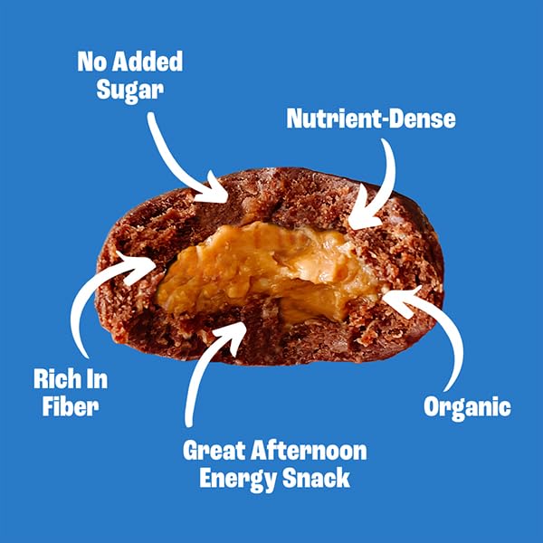 Sweet Nothings, Variety Pack: Chocolate, Apple Cinnamon, and Oatmeal Raisin, USDA Organic Nut Butter Bites Protein 6-2 Bite Value Packs (2 of each flavor) - No Added Sugar, Good Source of Fiber, Only 7 Ingredients