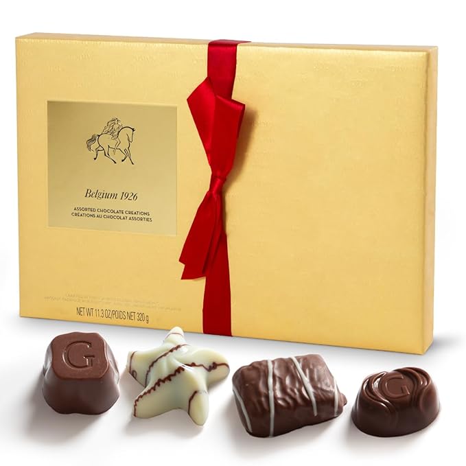 Gourmet Chocolate Gift Box Valentines, 27 Chocolates Pack of Premium Belgium Assorted Chocolate, Ideal for Valentine's Day Gift Basket and Holiday Celebrations 11.3 OZ