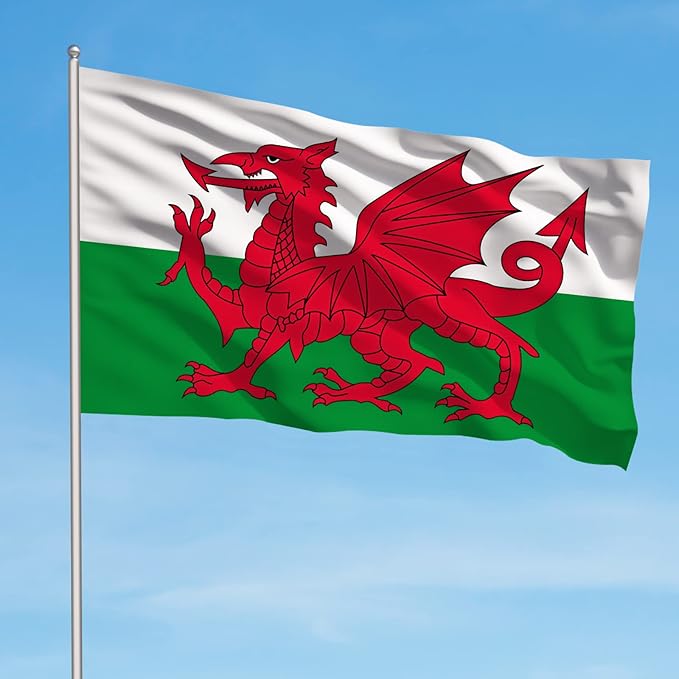 AhfuLife Wales Flag 3x5 Ft, Large Wales Flag for Outside - Double Side with Brass Eyelets for Olympic Party Decorations, Bar Garden Street Decoration Indoor Outdoor
