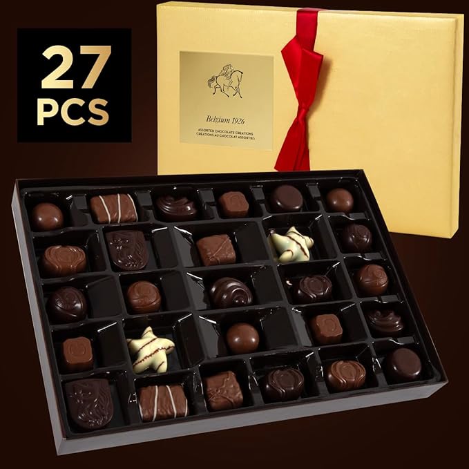 Gourmet Chocolate Gift Box Valentines, 27 Chocolates Pack of Premium Belgium Assorted Chocolate, Ideal for Valentine's Day Gift Basket and Holiday Celebrations 11.3 OZ