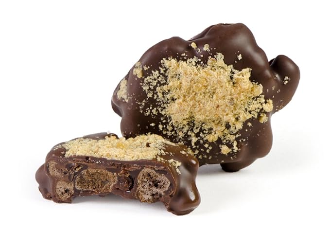 Nut Clusters Chocolate Gift Red Box - Assorted Variety of Caramel Brittles, Pecan Patties, Almond, Cashew Clusters, Kosher - Dairy Free Nuts and Chocolate Gift Basket - Holiday Chocolate Covered Nuts Assortment for Corporate Gifting