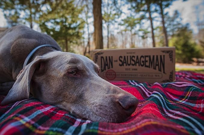 Dan the Sausageman Rainier Gourmet Gift Basket – Original & Garlic Summer Sausages, Sweet Hot Mustard, Pretzels, Almond Roca – 11-Items Holiday Snack Box