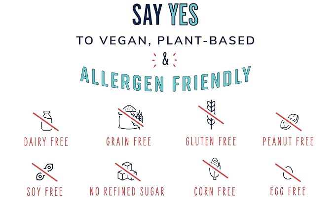 The YES Bar – Black Sesame Sea Salt – Plant Based Protein, Decadent Snack Bar – Vegan, Paleo, Gluten Free, Dairy Free, Low Sugar, Healthy Snack, Breakfast, Low Carb, Keto Friendly (24 Count)