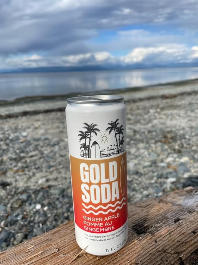 Gold Soda - Natural Ingredients - Organic Cane Sugar - Non-GMO - No Preservatives - Monk Fruit - Sparkling Water - Made with Natural and Organic Flavors,12 Fl Oz (24 Pack) (24 Pack, Ginger Apple)