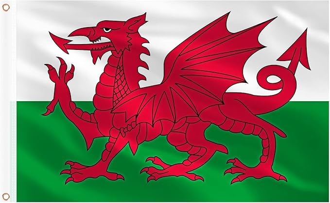 AhfuLife 2 Pcs Wales Flag 3x5 Ft, Large Wales Flag for Outside - Double Side with Brass Eyelets for Olympic Party Decorations, Bar Garden Street Decoration Indoor Outdoor