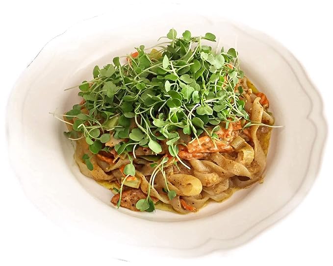 Miracle Noodle Ready to Eat Fettuccine Pasta, 7 Oz (Pack of 6), Plant Based Shirataki Konjac Noodles, 5 Calories, 1g Net Carbs Per Serving, Keto, Gluten-Free