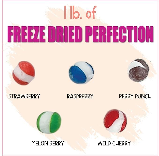 Fruit Crunch Wildberry Freeze-Dried Candy, 16 oz, Assorted Wild Berry Flavors, Large Pouch, Ideal Gift Snack