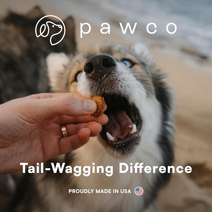 Pawco Magic Bar Gut Health Treat – High Protein Peanut Butter Dog Biscuit – 8-Pack – Healthy Snack Made with Natural Ingredients: Peanut Butter, Pumpkin, Sweet Potato, and Apples
