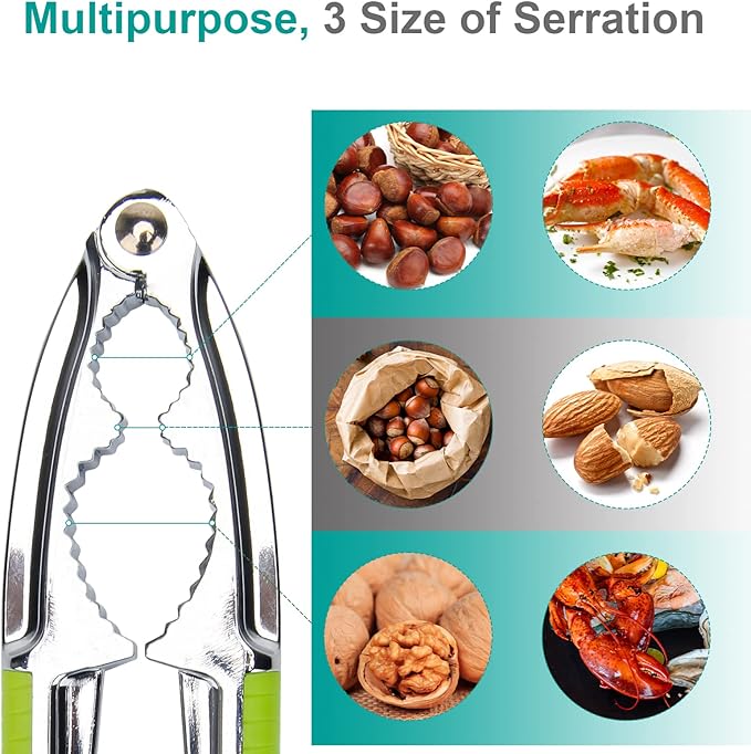 Anglekai Nut Crackers, 8Pcs Multi-Purpose Stainless Steel Seafood Pecan Cracker, Non-slip Handle Walnut Cracking Tools (Green)