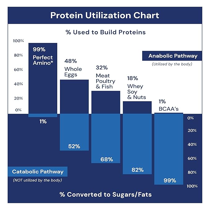 BodyHealth PerfectAmino Bar – Protein Energy Snack with 10g Protein, Plant-Based MCTs, Superfood Blend, Non-GMO, Gluten, Dairy & Soy Free (Blondie, 12 Pack)
