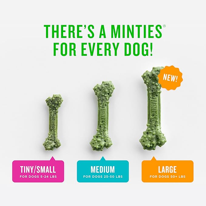 Minties Dog Dental Bone Treats, Mint, Tiny/Small, 16 oz
