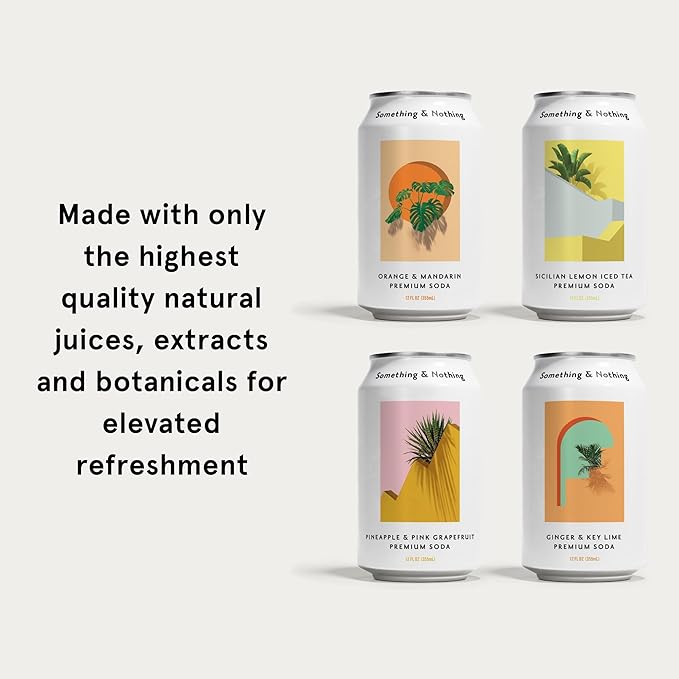 Something & Nothing Premium Soda Travelcase - Adventure | Pineapple & Pink Grapefruit, Ginger & Key Lime, Orange & Mandarin, Sicilian Lemon Iced Tea | Lightly Carbonated, Vegan & Low Calorie Sparkling Water | 12 Fl Oz Cans (Pack of 12)