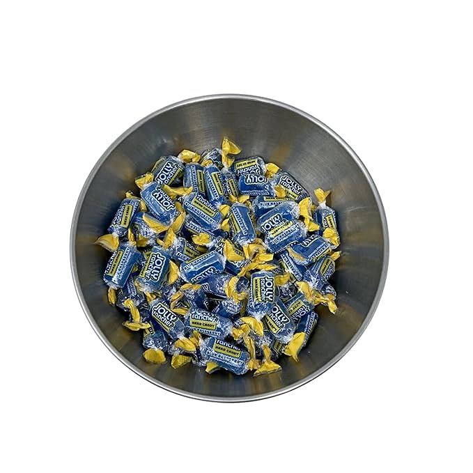 Jolly Ranchers Hard Candy 1.5lbs- All Blue Raspberry Individually Wrapped Delicious Fresh Candy 1.5, 24oz (Packaging Might Vary)