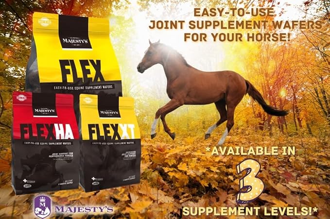 Majesty's Flex Wafers - Superior Horse/Equine Joint Support Supplement - Glucosamine, MSM, Chondroitin, Yucca, Vitamin C (Peppermint, 60 Count)