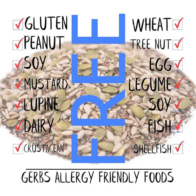 Gerbs Super 5 Seed Snack Mix 14 oz. | Raw, No Artificial Additives, Resealable Bag | Crunchy Pumpkin, Sunflower, Flax, Chia & Hemp Blend | Top 14 Allergen-Free