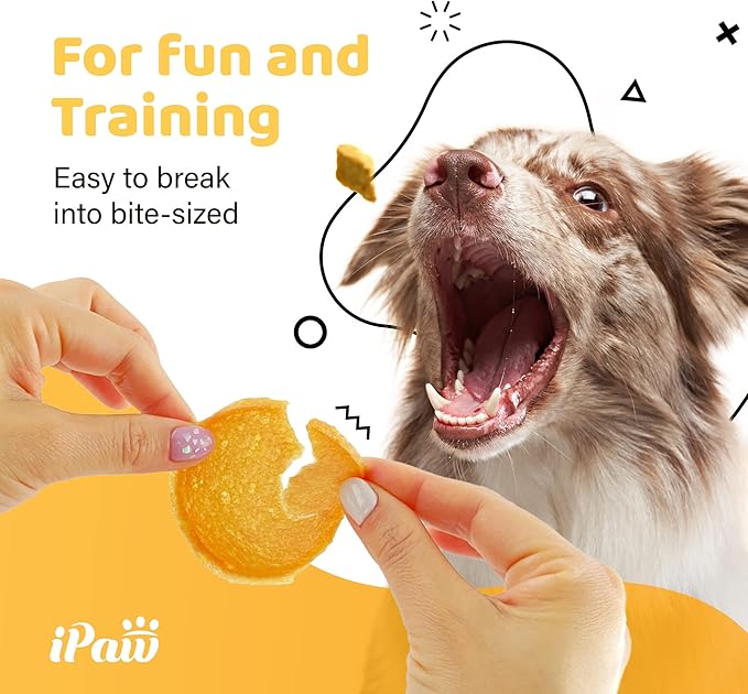 iPaw Turkey Chips Dog Treats for Puppy Training, All Natural Human Grade Dog Treat, US Sourced Raw Material, Hypoallergenic, Easy to Digest (Turkey Chips), 5 Packs