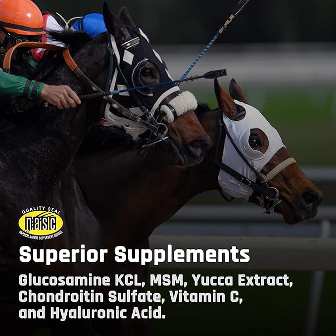 Majesty's Flex Wafers - Superior Horse/Equine Joint Support Supplement - Glucosamine, MSM, Chondroitin, Yucca, Vitamin C (Peppermint, 60 Count)