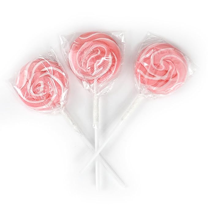 Pink Lollipops, 24 Pack, Pink Swirl Lollipops Individually Wrapped, Pink Lollipop Suckers Bulk, The Hampton Popcorn & Candy Company