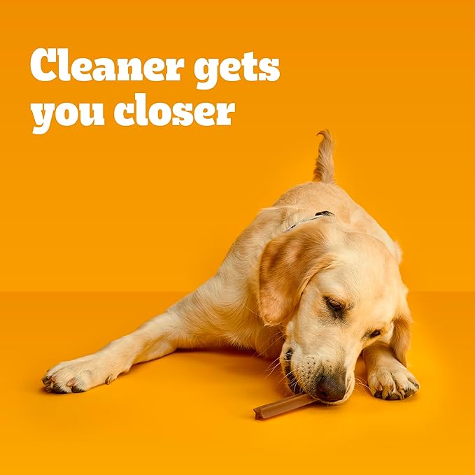 Pedigree Dentastix Large Breed Dog Treats, Beef Flavor, (4) 18ct Bags (72 Treats Total)