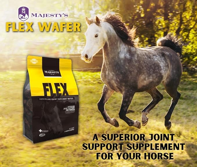 Majesty's Flex Wafers - Superior Horse/Equine Joint Support Supplement - Glucosamine, MSM, Chondroitin, Yucca, Vitamin C (Peppermint, 60 Count)