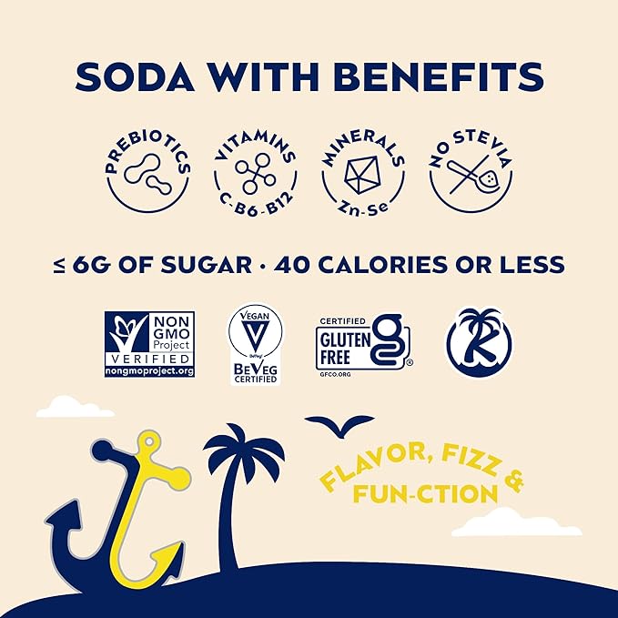 SunSip Prebiotic Soda With Benefits - Gut-Healthy Beverage with Vitamins and Minerals, 35 Calories, Soda Alternative, Naturally Sweetened with 5g of Sugar, 11.5 oz (12 Pack) Root Beer