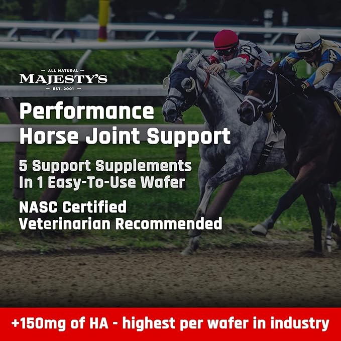Majesty's Flex Wafers - Superior Horse/Equine Joint Support Supplement - Glucosamine, MSM, Chondroitin, Yucca, Vitamin C (Peppermint, 60 Count)