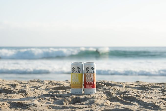 Gold Soda - Natural Ingredients - Organic Cane Sugar - Non-GMO - No Preservatives - Monk Fruit - Sparkling Water - Made with Natural and Organic Flavors, 12 Fl Oz (24 Pack) (24 Pack, Pineapple Mango)