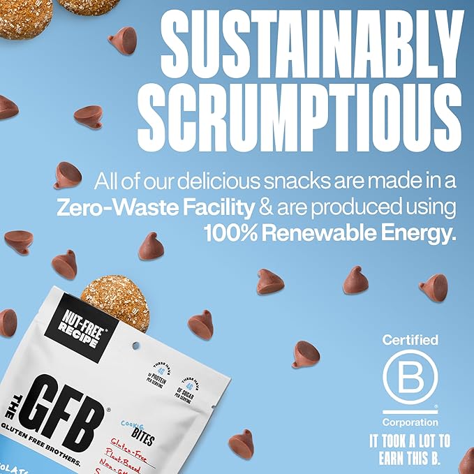 The Gluten Free Brothers Chocolate Chip Cookie Dough Nut Free Bites - Allergen Friendly, Gluten Free, Soy Free Protein Balls – Plant Based Vegan Non-GMO Snack Size Protein Energy Balls, 4 oz (4 Count)