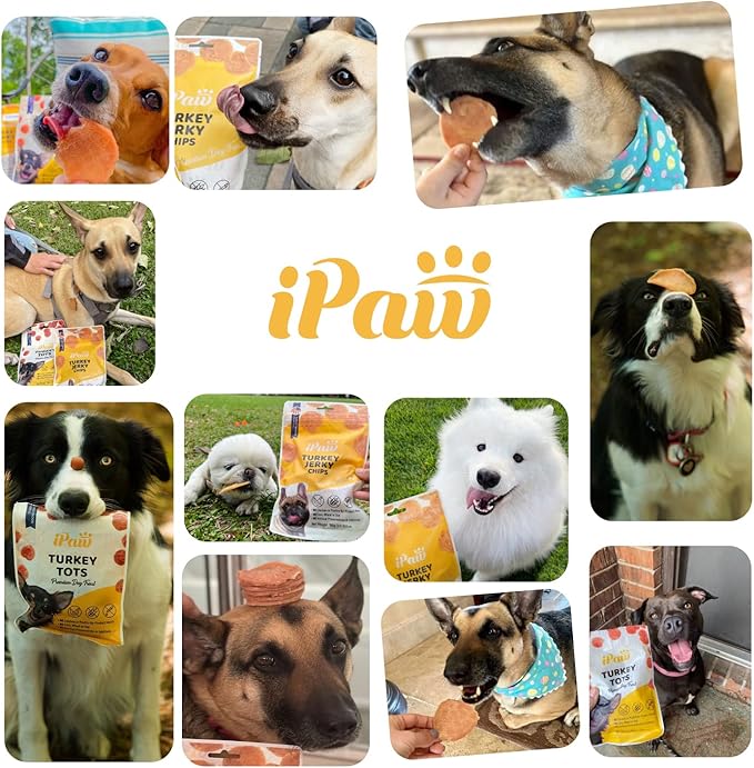 iPaw Chicken Chips Dog Treats for Puppy Training, All Natural Human Grade Dog Treat, Hypoallergenic, Easy to Digest (Chicken Chips), 5 Packs