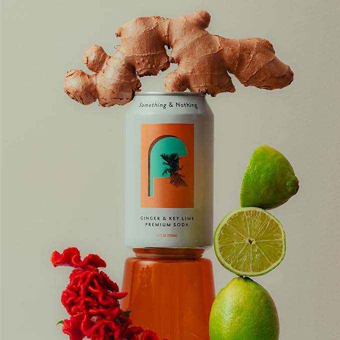 Something & Nothing Premium Soda Travelcase - Adventure | Pineapple & Pink Grapefruit, Ginger & Key Lime, Orange & Mandarin, Sicilian Lemon Iced Tea | Lightly Carbonated, Vegan & Low Calorie Sparkling Water | 12 Fl Oz Cans (Pack of 12)