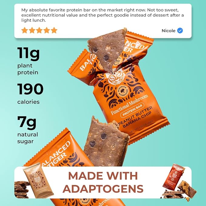 Functional Mushroom Vegan Protein Bars | Made in USA | Full Dose Lions Mane, Shitake, Reishi & Maitake Bars | Plant Protein Bars w/Adaptogens & Superfoods | 12 Bars Variety Box