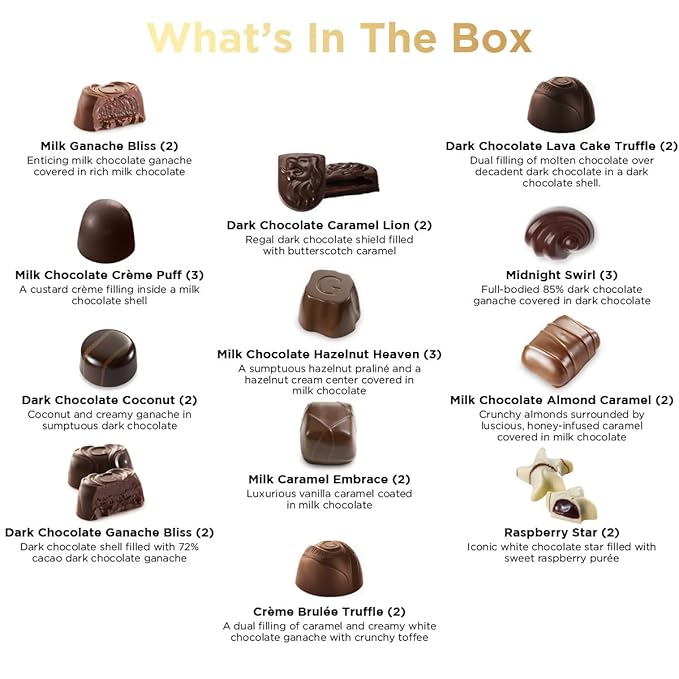 Gourmet Chocolate Gift Box Valentines, 27 Chocolates Pack of Premium Belgium Assorted Chocolate, Ideal for Valentine's Day Gift Basket and Holiday Celebrations 11.3 OZ