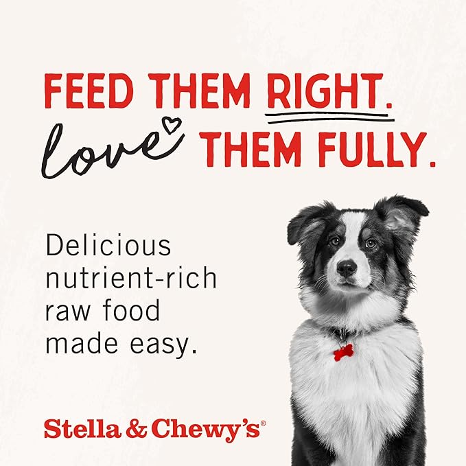Stella & Chewy's Freeze-Dried Raw Chicken Meal Mixers- Dog Food Topper and Mixer - Made with 95% Cage-Free Chicken, Organs & Bone - Perfect for Picky Eaters - Grain-Free - 1oz (Pack of 2)