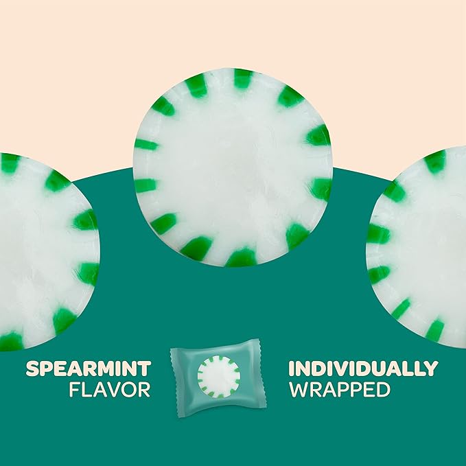 Sugar Free Mints - 1 lb (Aprox. 90 Count) - Sugar Free Hard Candy- Spearmint Candy -Zero Sugar Candy -Speamint Mints Individually Wrapped