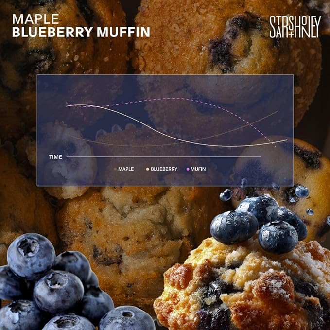 Stars + Honey Protein Bars - Maple Blueberry Muffin,14g Protein, 2g Sugar, w/Collagen Keto Friendly Snack - Gluten, Dairy, Seed Oil, & Soy Free - High-Protein Snacks for Energy & Recovery -10 pack