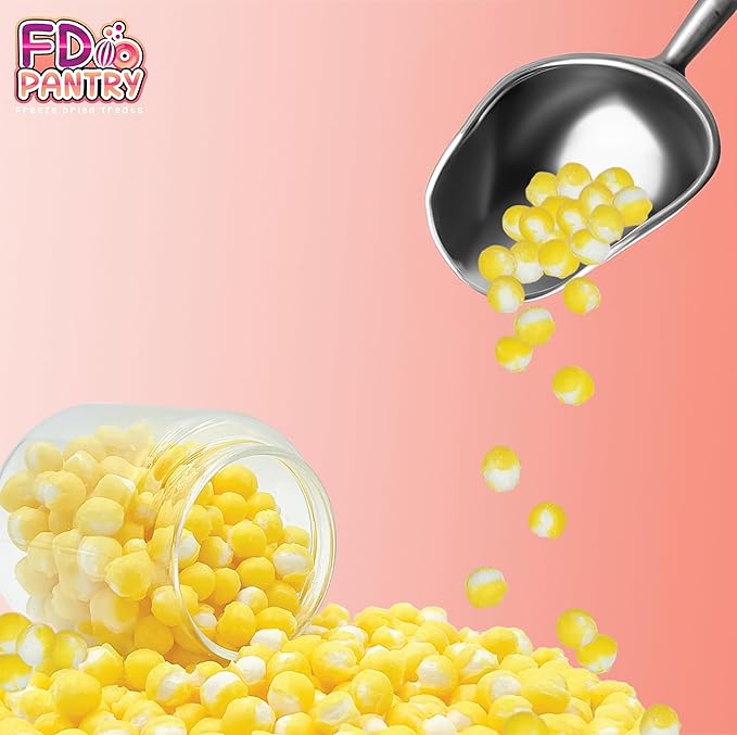 Freeze Dried Sour Lemon Crunchy Candy - 5 oz Unique Candies Delight Crunchy Treat Snack Gift Sour Heads Citrus
