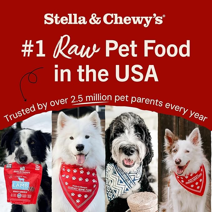 Stella & Chewy's Freeze-Dried Raw Salmon & Cod Meal Mixers- Dog Food Topper and Mixer - Made with 95% Wild-Caught Salmon & Cod, Organs & Bone - Perfect for Picky Eaters - Grain-Free - 8 oz