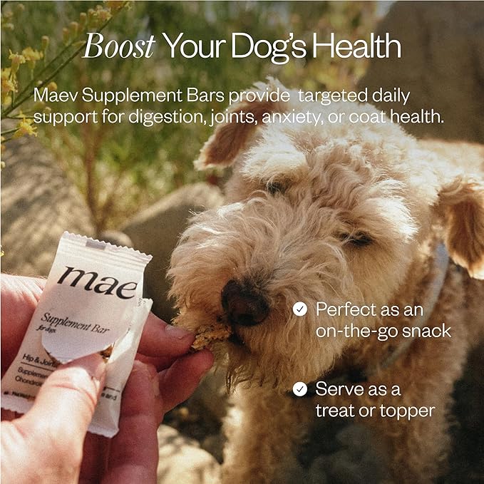 MAEV Human-Grade Skin & Coat Supplement Bars | Natural Support for a Healthy Skin & Coat, 30 Count