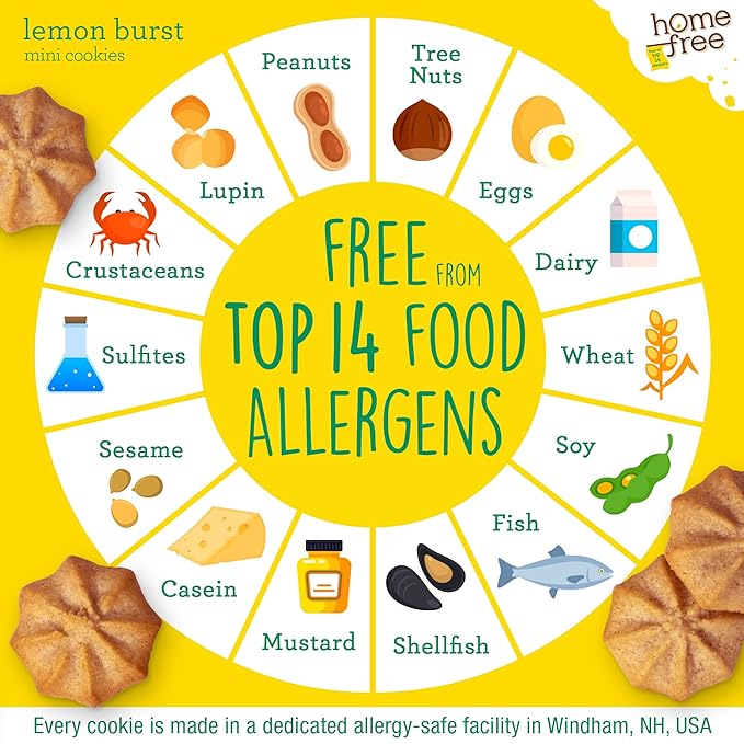 Homefree Treats You Can Trust Gluten Free Mini Cookies, Single Serve, Lemon Burst, 1.0 Ounce (Pack of 10)…