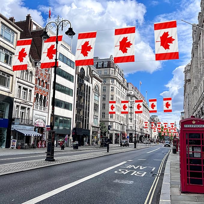 AhfuLife Canada Flag 3 x 5 Ft, Large Canadian Flags for Outside - Double Side with Brass Eyelets for Olympic Party Decorations, Bar Garden Street Decoration Indoor Outdoor