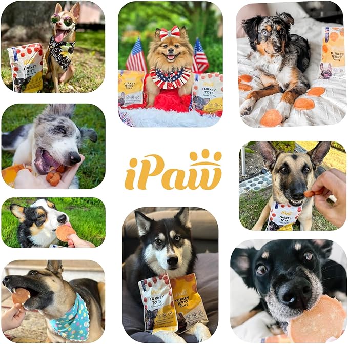 iPaw Chicken Chips Dog Treats for Puppy Training, All Natural Human Grade Dog Treat, Hypoallergenic, Easy to Digest (Chicken Chips), 2 Packs