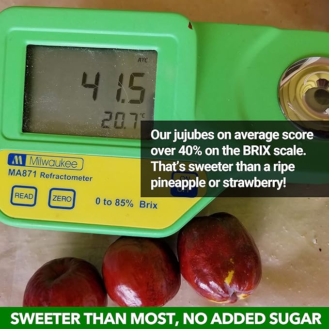 USDA Organic California Grown Pure Jujube Product | JUJUME Crisps | Sweet Jujube Chips | ZERO Added Sugar or Preservatives | All-Natural Healthy Snack | 20-pack 3oz bags